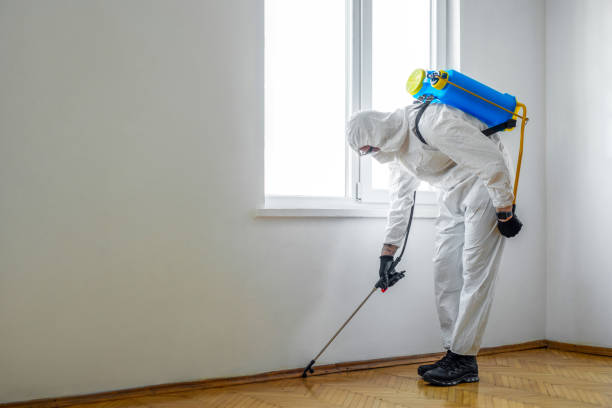 Best Real Estate Pest Inspections  in Roseville, MN